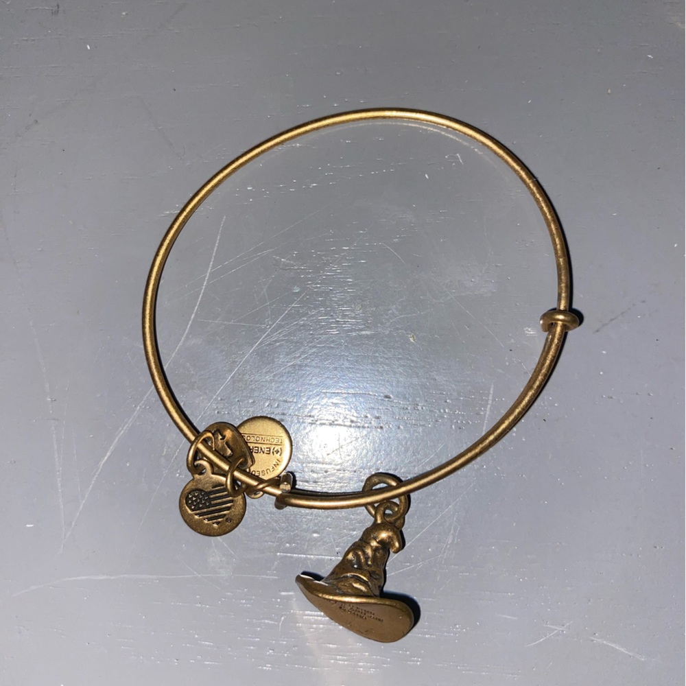 Alex and Ani Harry Potter collection